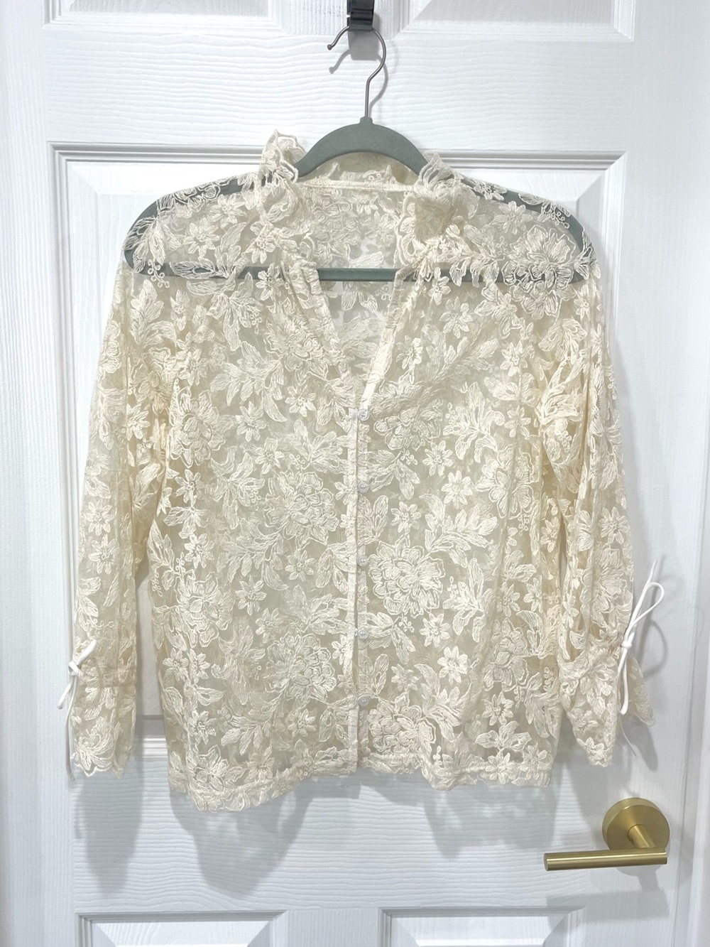 Sheer Lace Button-Up Blouse